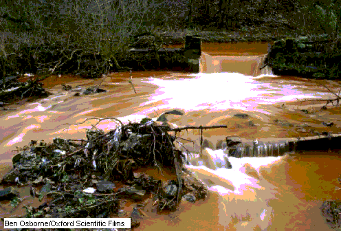 La Contaminacion de las aguas